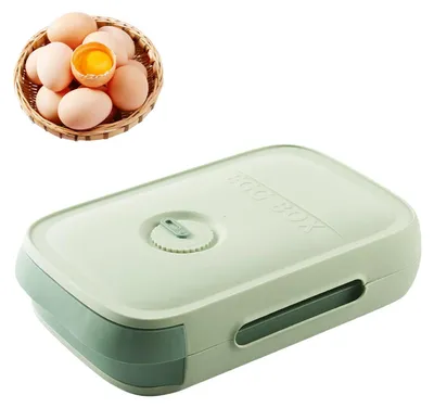 Eieraufbewahrungsbox aus Kunststoff, grün, für 18–21 Eier
