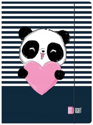 Produktbild von Ordner Mit Gummi A4 Gerader Love Panda 300G