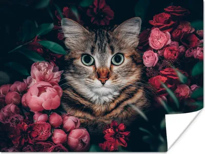 Produktbild von MuchoWow® Poster Katze - Blumen - Blätter - Botanisch 160x120 cm - Foto Plakat