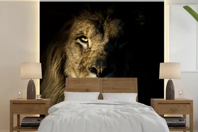 Produktbild von MuchoWow® Fototapete für Wohnzimmer oder Schlafzimmer Wandtapete Vinyl Motivtapete Löwe - Licht - Schwarz - 300x300 cm - Wanddekoration