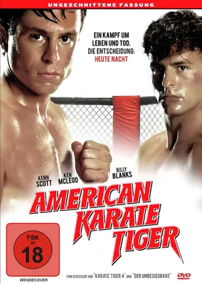 Produktbild von American Karate Tiger
