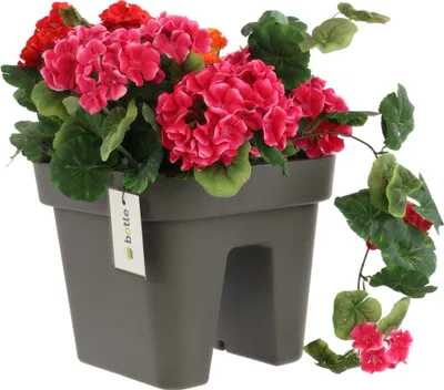 A planter box filled with flowers, placed on a white background.