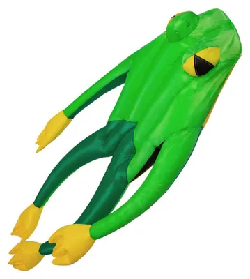 Immagine prodotto di Fritz the Frog 160630 Verde 140 x 210 cm aquilone monofilo Cloudstormer