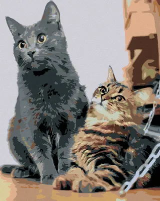 Immagine prodotto di Zuty - Dipingere con i numeri - GATTI IN ATTESA, 40x50 cm, senza cornice e senza tela