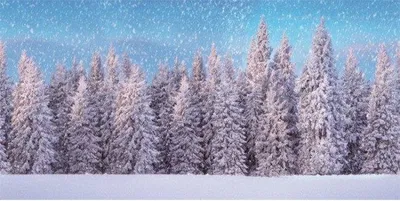 Produktbild von My Village | Hintergrundtuch Schneewald | 300 × 150 cm
