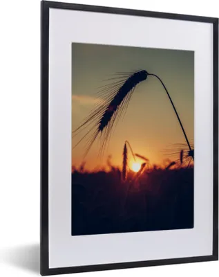 Produktbild von MuchoWow® Gerahmtes Poster Gras - Herbst - Sonnenuntergang - Jahreszeiten - Landschaft 30x40 cm - Poster mit Schwarzem Bilderrahmen Wandposter Rahmen Foto Bilder - Wandposter Schlafzimmer