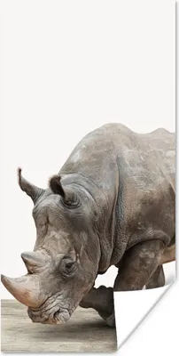 Produktbild von MuchoWow® Poster Nashorn - Jungen - Wildtiere - Kinder - Mädchen - Tiere 80x160 cm - Kinderzimmer