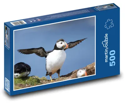 Obrázek produktu pro Puzzle 500 Papuchalka na mořském útesu - martinpuzzle