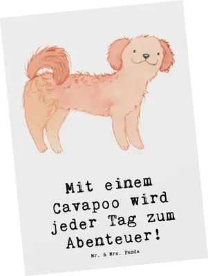 Produktbild von Mr. & Mrs. Panda Postkarte Cavapoo Abenteuer - Weiß - Geschenk, Mischlingshund, Hunderassen, Hunderasse, Charakter, bildkarte, Liebe, Familienhund, Beschreibung
