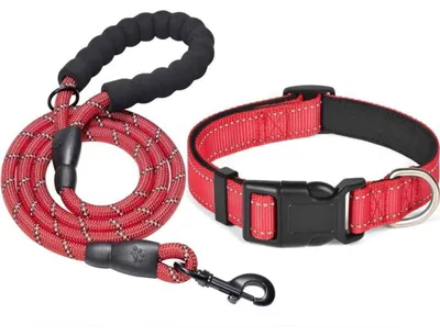 Obrázek produktu pro Oblečenková vodítka pro psy, polstrovaná rukojeť, nylon, reflexní, červená, délka 150 cm