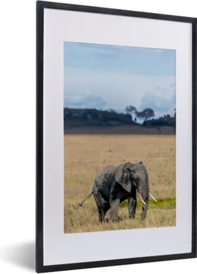 Produktbild von MuchoWow® MuchoWow® Gerahmtes Poster Elefant - Gras - Tiere - Natur 40x60 cm - Poster mit zchwarzem Bilderrahmen - Poster in Rahmen