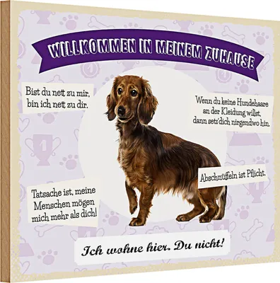 Produktbild von Holzschild Spruch 30x20cm Tiere Dackel willkommen wohne hier