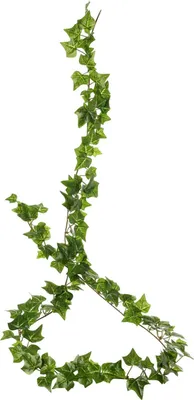Produktbild von artplants.de Künstliche Efeugirlande MAISCHA, grün, 180cm - Deko Efeugirlande