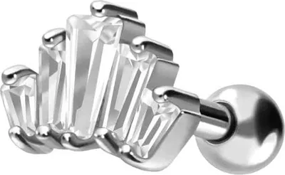 Produktbild von Ohrpiercing Chirurgenstahl Ohrpiercing 5 EINGEFASSTE KRISTALLRECHTECKE