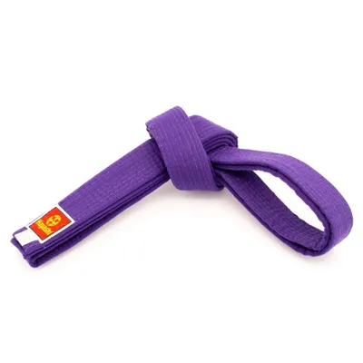 Produktbild von Budogürtel lila 260