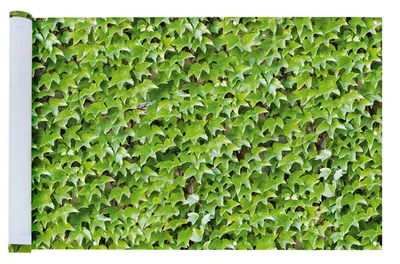 Produktbild von Balkonsichtschutz mit Efeu-Muster, 5 m x 85 cm