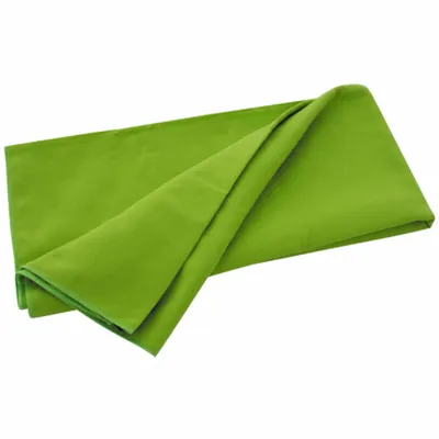 Produktbild von Travelsafe Mikrofaser Reisehandtuch S Limettengrün TS3051
