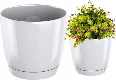 Two white plant pots are shown, one empty and one with a green plant with pink flowers.
