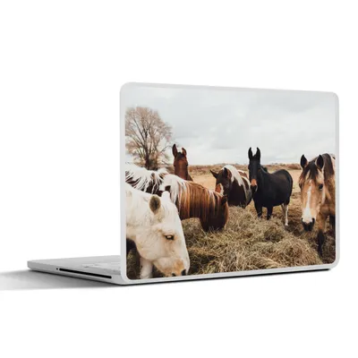 Produktbild von MuchoWow® Laptop Aufkleber Sticker Cover Tiere - Pferd 30x22 cm - Laptop-Sticker