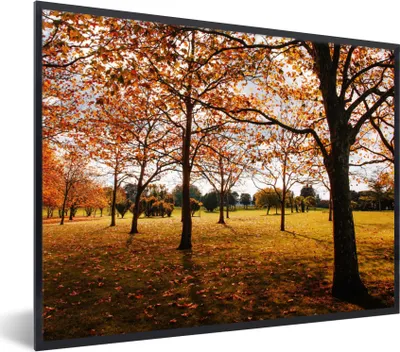 Produktbild von MuchoWow® Gerahmtes Poster Herbst - Herbstblätter - Natur 80x60 cm - Poster mit Schwarzem Bilderrahmen Wandposter Rahmen Foto Bilder - Schwarzem - Mit Gestell