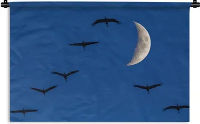 Produktbild von MuchoWow® Wandteppich Wandbehang Europäische Kraniche fliegen vor dem Mond 60x40 cm Tapisserie Dekoration Wandtuch - Wanddekorationen