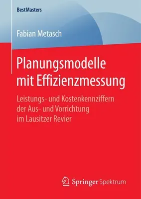 Obrázek produktu pro Metasch, F: Planungsmodelle mit Effizienzmessung