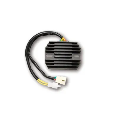 Image de Contrôleur de charge ElectroSport ESR 539