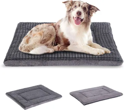 Produktbild von Hundekissen mit viskoelastischem Schaum, 91 x 58 cm, waschbar, für kleine bis mittelgroße Hunde