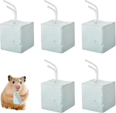 Produktbild von Mineralische Steine zum Zahnschleifen für Haustiere - Set aus 5 Exemplaren