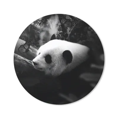Produktbild von MuchoWow® Mauspad Mousepad Tiere - Dschungel - Panda - Schwarz - Weiß 40x40 cm - Mousepads - Maus Mat - Pad - Mausunterlage - Schreibtisch Accessoires