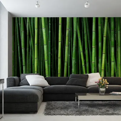 Produktbild von Muralo XXL Selbstklebende FOTOTAPETE Tropische Bambusbaeume Asien (B) 450 cm x (H) 300 cm Tapete Wandtapete WOHNZIMMER SCHLAFZIMMER 5125