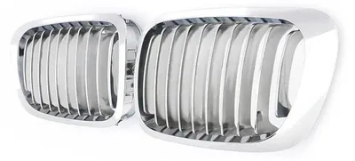 Produktbild von Rennsportgrills, Chromfinish, Einfache Installation, links und rechts