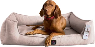 Produktbild von tierlando® Orthopädisches Hundebett SCARLETT >> inkl. Matratzenschoner << - Größe: 110x90cm | Farbe: 07 Rose