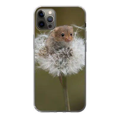 Produktbild von MuchoWow® Handyhülle Schutzhülle Hülle für iPhone 13 Pro Max Maus - Jung - Blumen Silikon Softcase Handy Hülle - Mobiltelefon