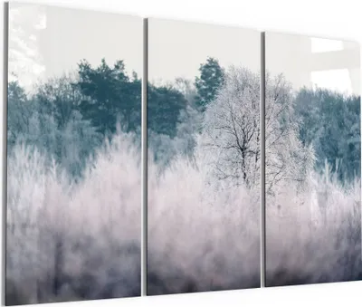 Produktbild von DEQORI Glasbild Echtglas 3x50x100 cm 'Eisiger Morgen im Wald' Wandbilder XXL groß