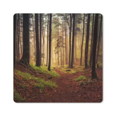 Produktbild von MuchoWow® Mauspad Mousepad Bäume - Natur - Wald 20x20 cm - Mousepads - Maus Mat - Pad - Mausunterlage - Desk Mat - Bureauartikeln