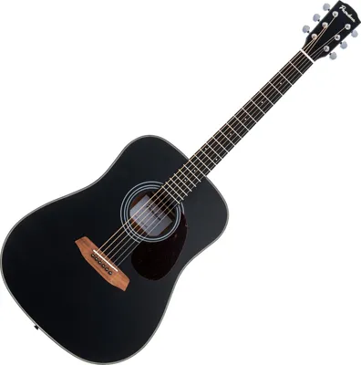Produktbild von Pasadena PD-200 Black Akustikgitarre