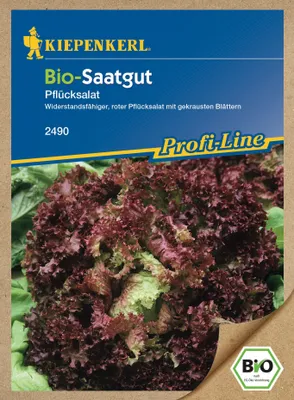 Produktbild von Pflücksalat Lollo Rossa | Pflücksalatsamen von Kiepenkerl