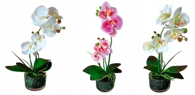 Produktbild von TG Künstliche Orchidee Deko-Blume im Topf 40cm
