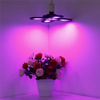 Immagine prodotto di Luce di crescita E27 LED Spettro rosso+blu Idroponica di verdure e fiori in serra - 168LED