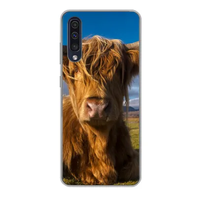 Produktbild von MuchoWow® Handyhülle Schutzhülle Hülle für Samsung Galaxy A50 Schottische Highlander - Tiere - Gras Silikon Softcase Handy Hülle - Mobiltelefonhülle