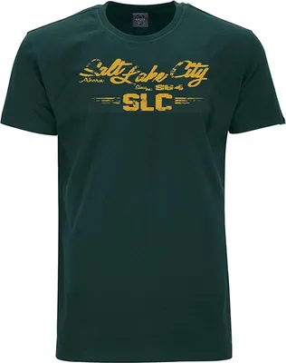 Produktbild von Übergrößen T-Shirt SLC orange AHORN SPORTSWEAR Bottle Green 9XL