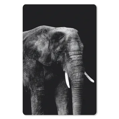 Produktbild von MuchoWow® Mauspad Mousepad Elefant auf schwarzem Hintergrund - schwarz und weiß 18x27 cm - Mousepads - Maus Mat - Pad - Mausunterlage