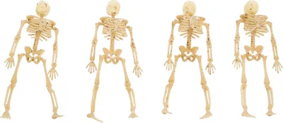 Produktbild von 20er Set "Mini Skelette" - 9 cm | Knochenweiß - Skelette Halloween Dekoration
