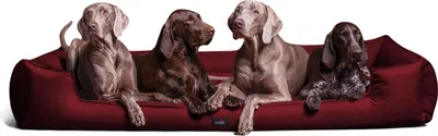 Produktbild von tierlando® Orthopädisches Hundebett GOOFY >> inkl. Matratzenschoner << Polyester - Größe: 160x110cm | Farbe: 04 Dunkelrot