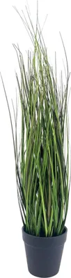 Produktbild von künstliches Gras, Gräserbusch im Topf H. 50cm grün Emerald Zimmerpflanze