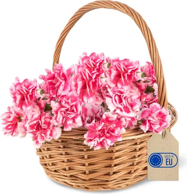Image de Creative Home Petit Panier de Pâques en Osier 22 x 22 x 26 cm - Tissé à la Main