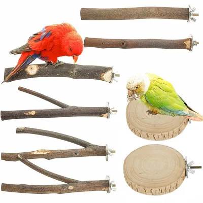 Image de Ensemble de 8 perchoirs en bois naturel avec plateformes, pour cages