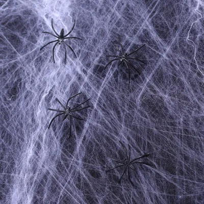 Produktbild von Spinnennetz 500gr mit weiß 12 Spinnen