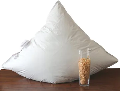 Produktbild von Betten Hofmann Aroma Zirbenkissen 3-Kammer-Kopfkissen Luxuskissen mit weicher Daunenhülle 80x80